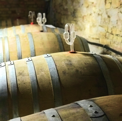Foto 5 von Weingut Jean Buscher