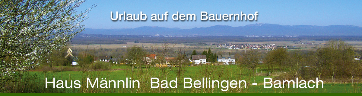 Haus Männlin