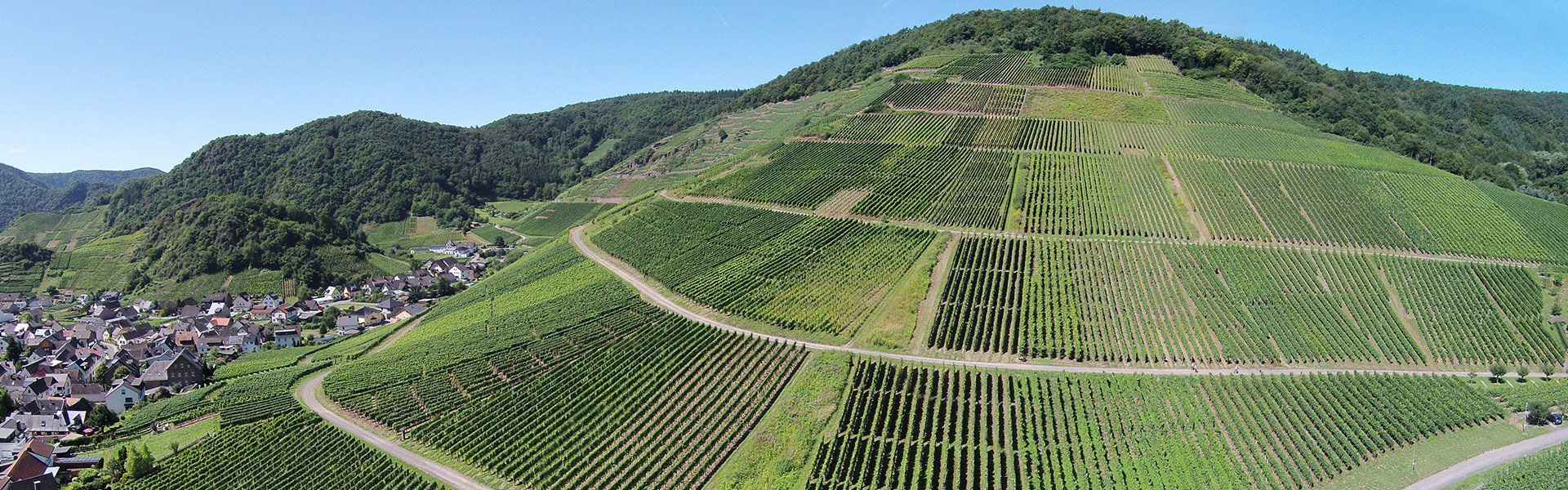 Foto 4 von Weingut Jean Stodden
