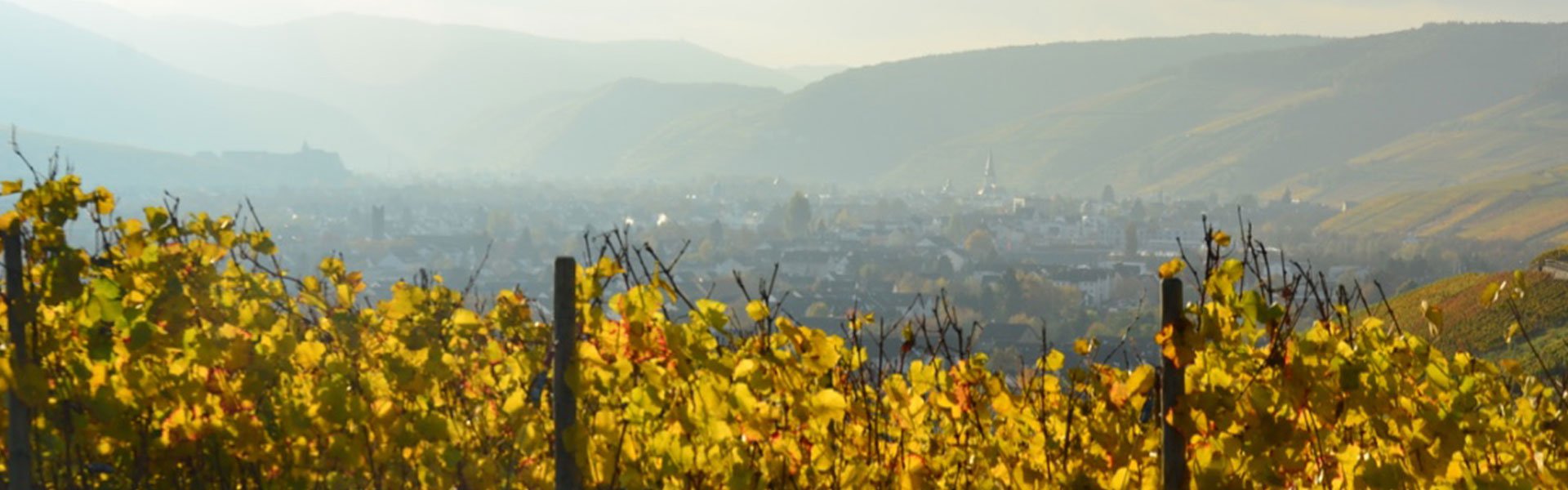 Foto 3 von Weingut Jean Stodden