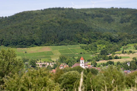 Foto 6 von Weingut Joachim Isele