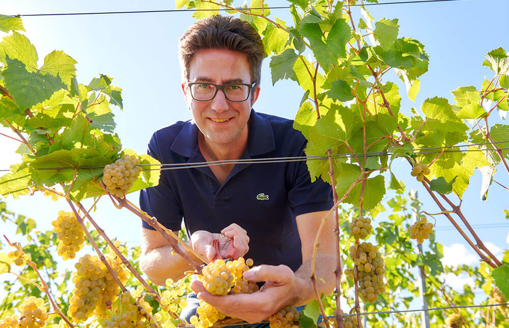 Weingut Joh. Bapt. Schäfer