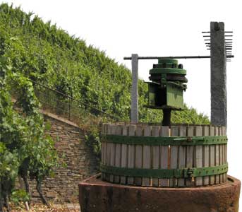 Foto 1 von Weingut Johann Regnery
