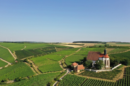 Foto 2 von Weingut Johannes Büttner