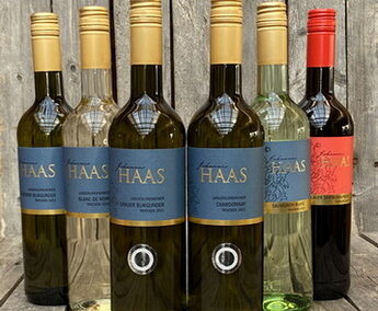 Foto 2 von Weingut Johannes Haas