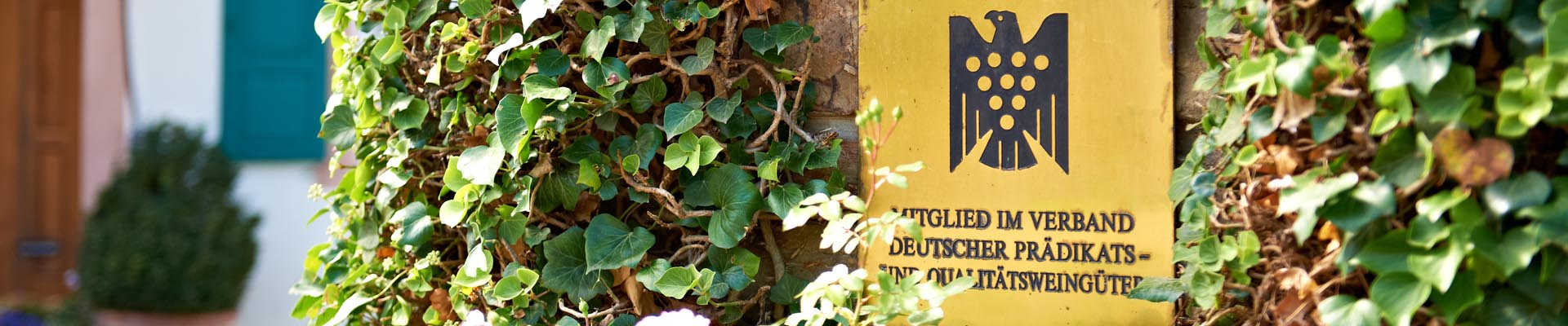 Weingut Johannishof