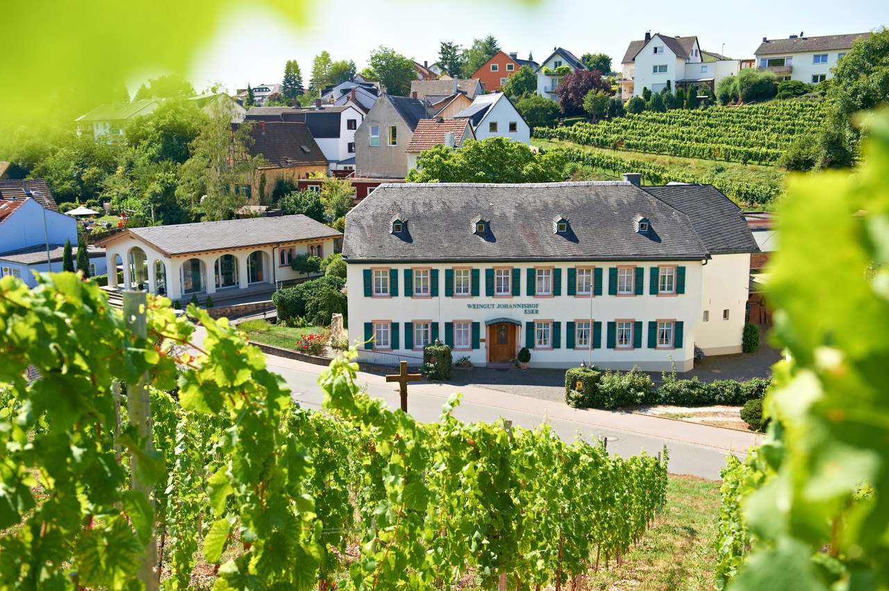 Foto 1 von Weingut Johannishof