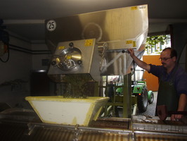Foto 7 von Weingut Josef Schönleber