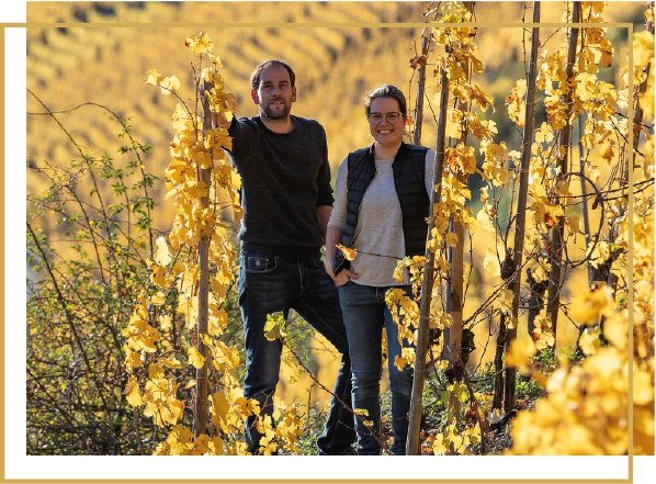 Foto 1 von Weingut Josef Thielmann