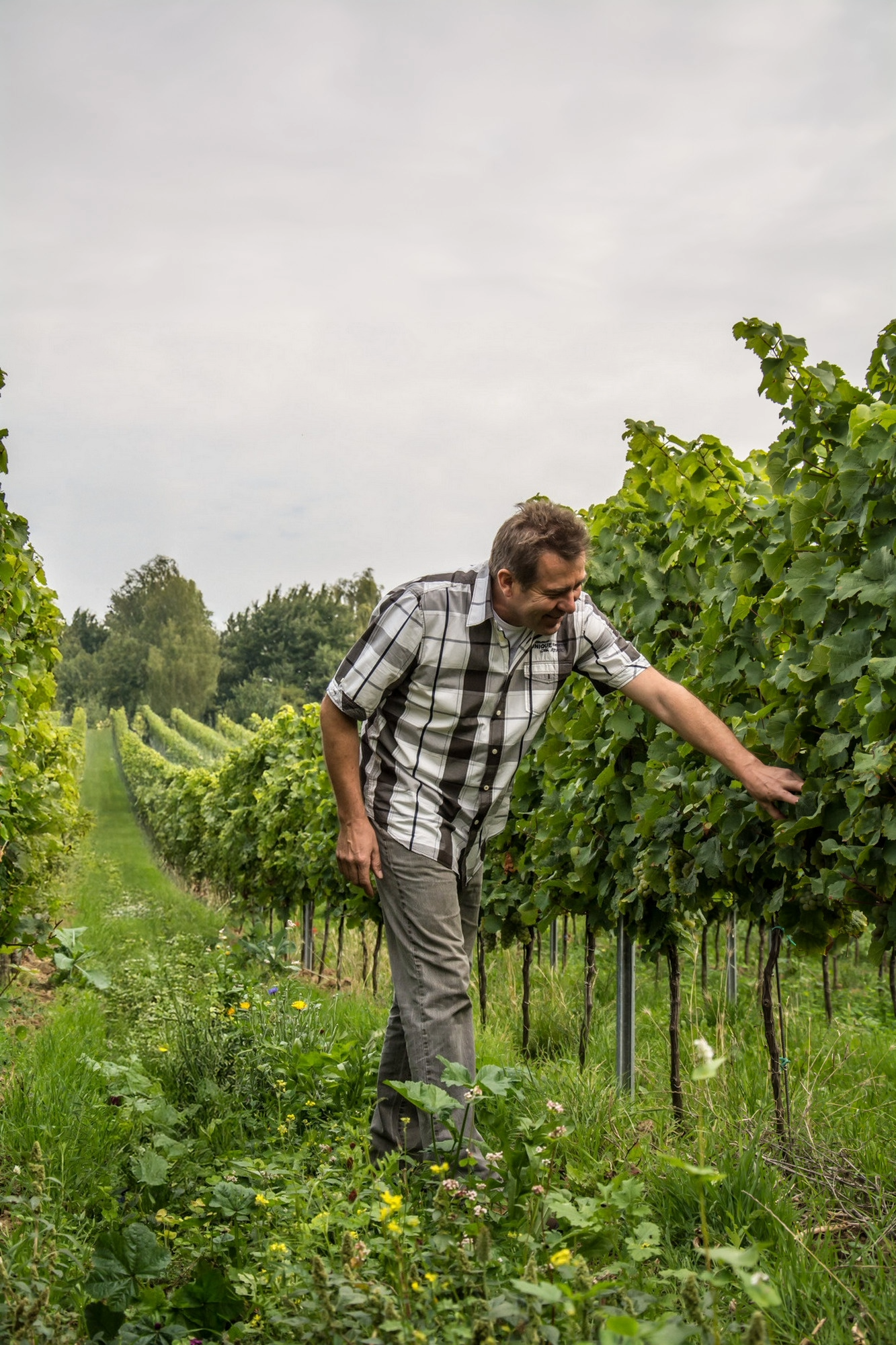Foto 4 von Weingut Jürgen Brand