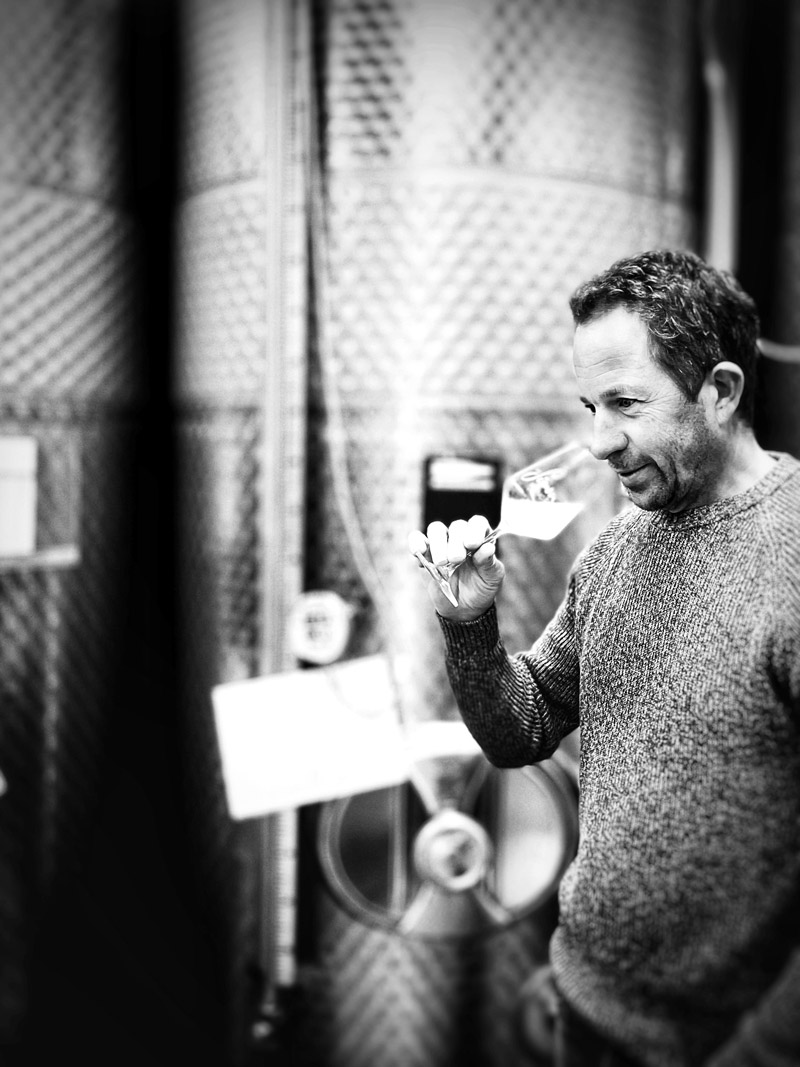 Foto 5 von Weingut Jürgen Simon