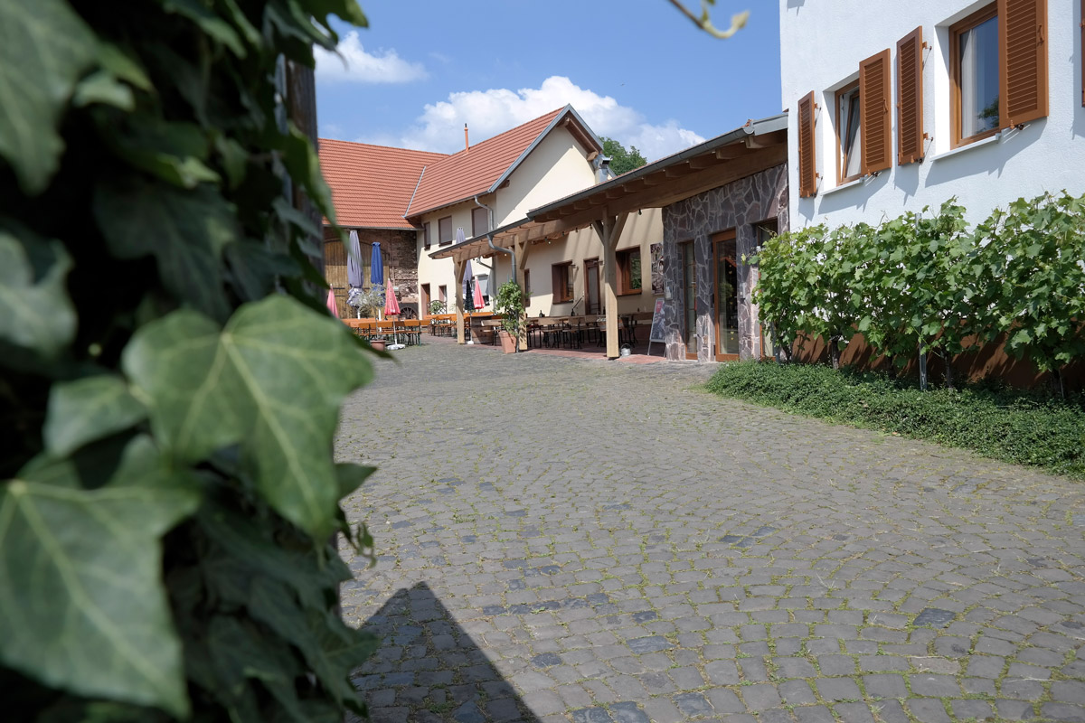 Foto 1 von Weingut Jürgen Simon