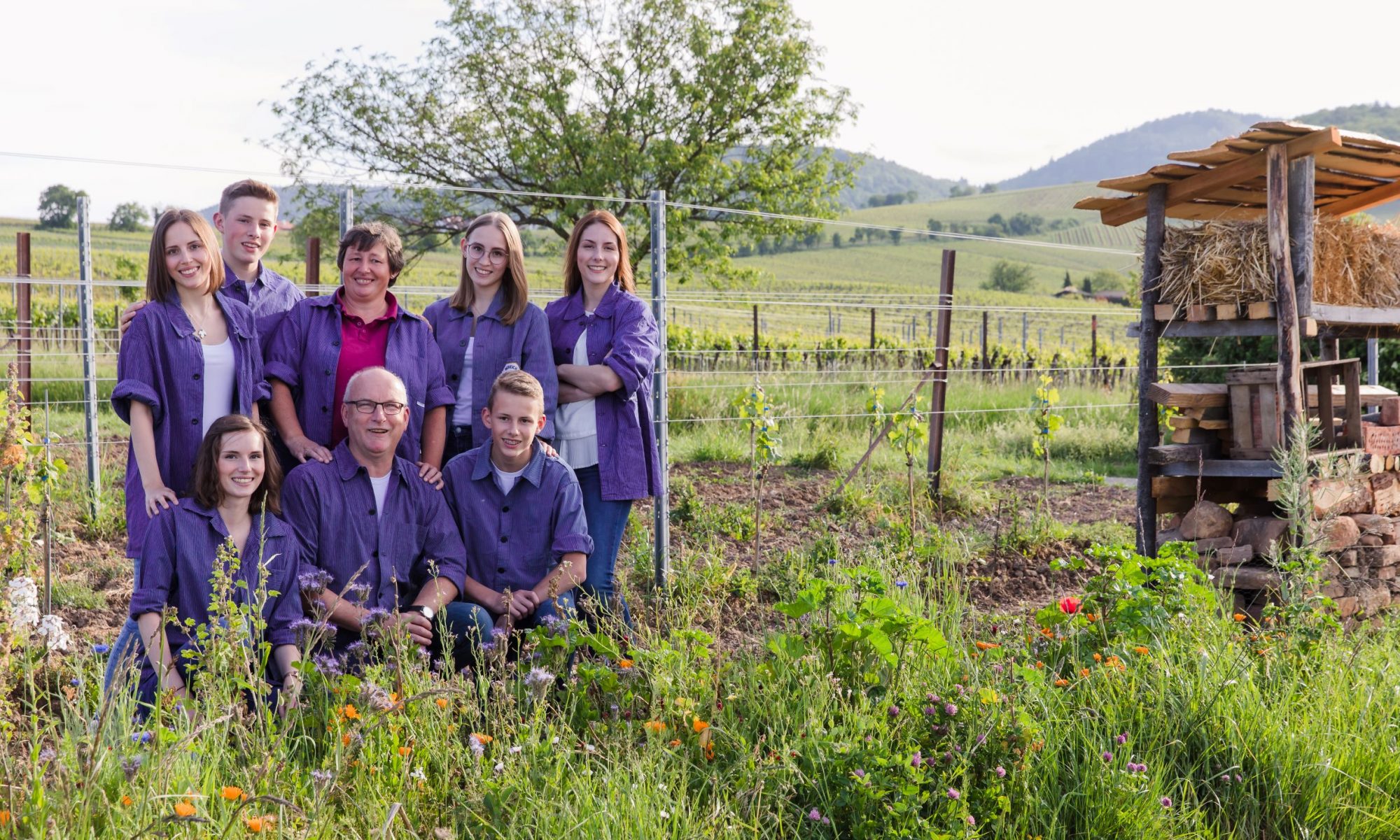 Weingut Juliushof