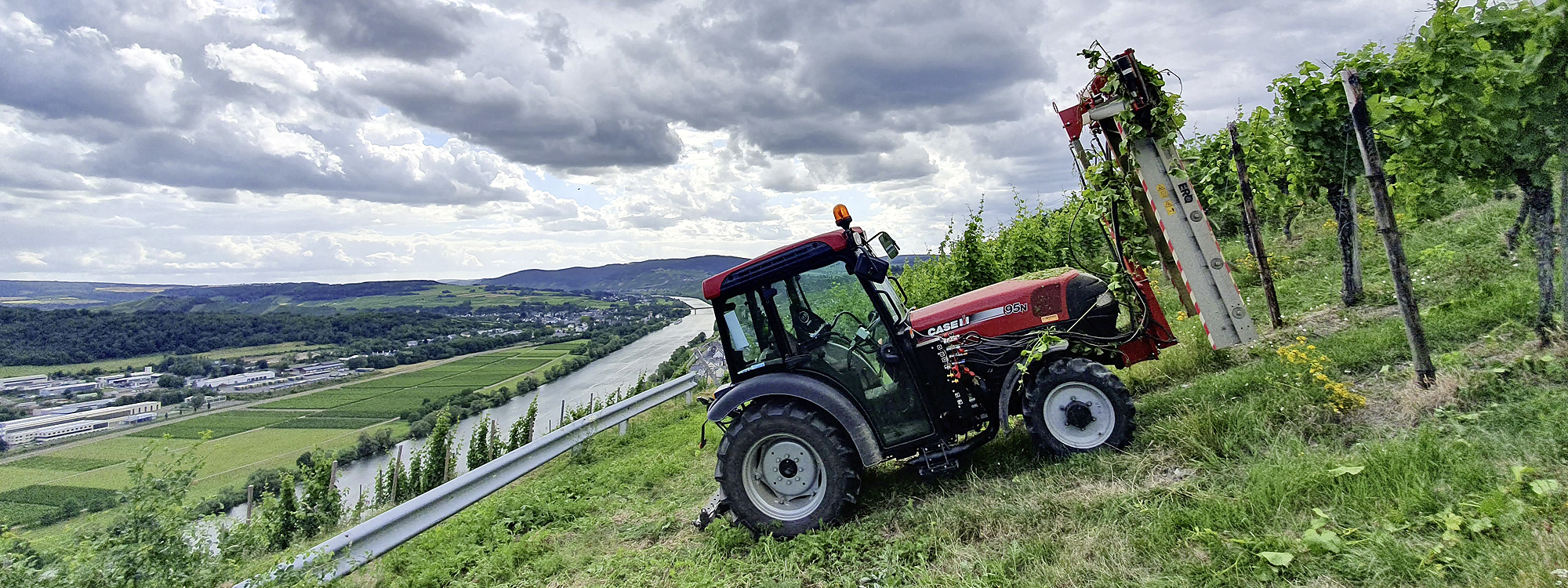 Foto 3 von Weingut Junges