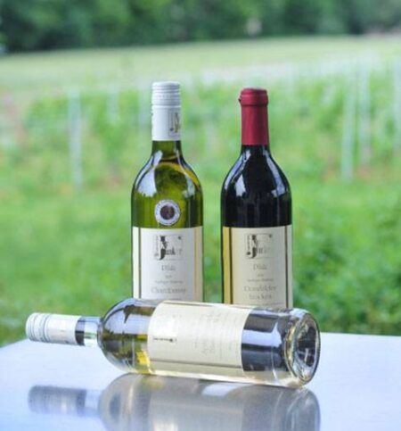 Foto 7 von Weingut Junker