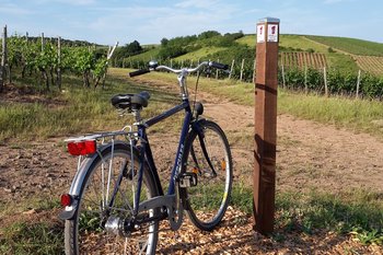 Hotel - Weingut Enk