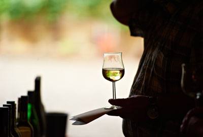 Фото 6 з Weingut Kapellenhof
