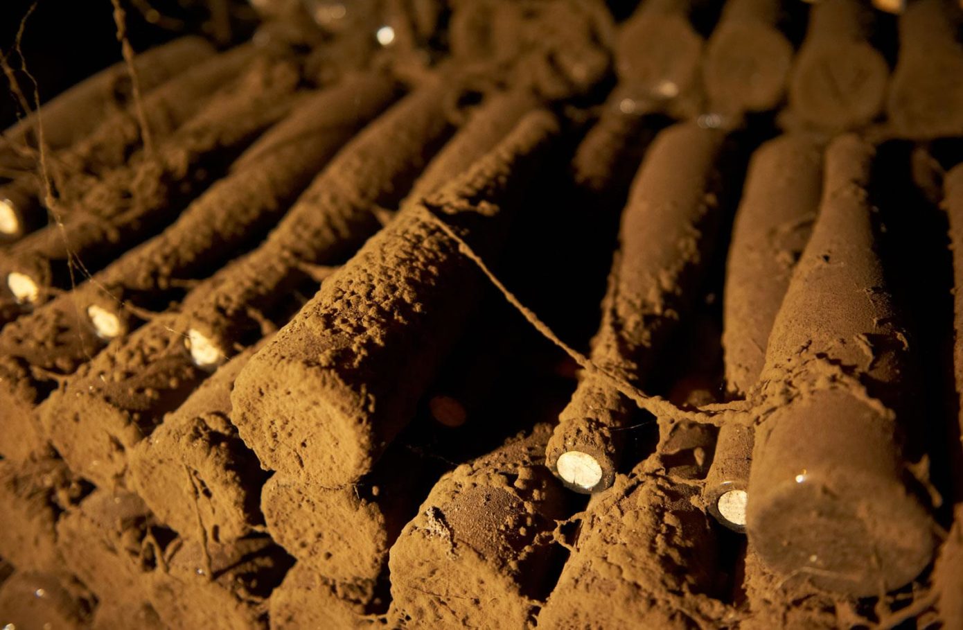 Фото 4 з Weingut Kapellenhof