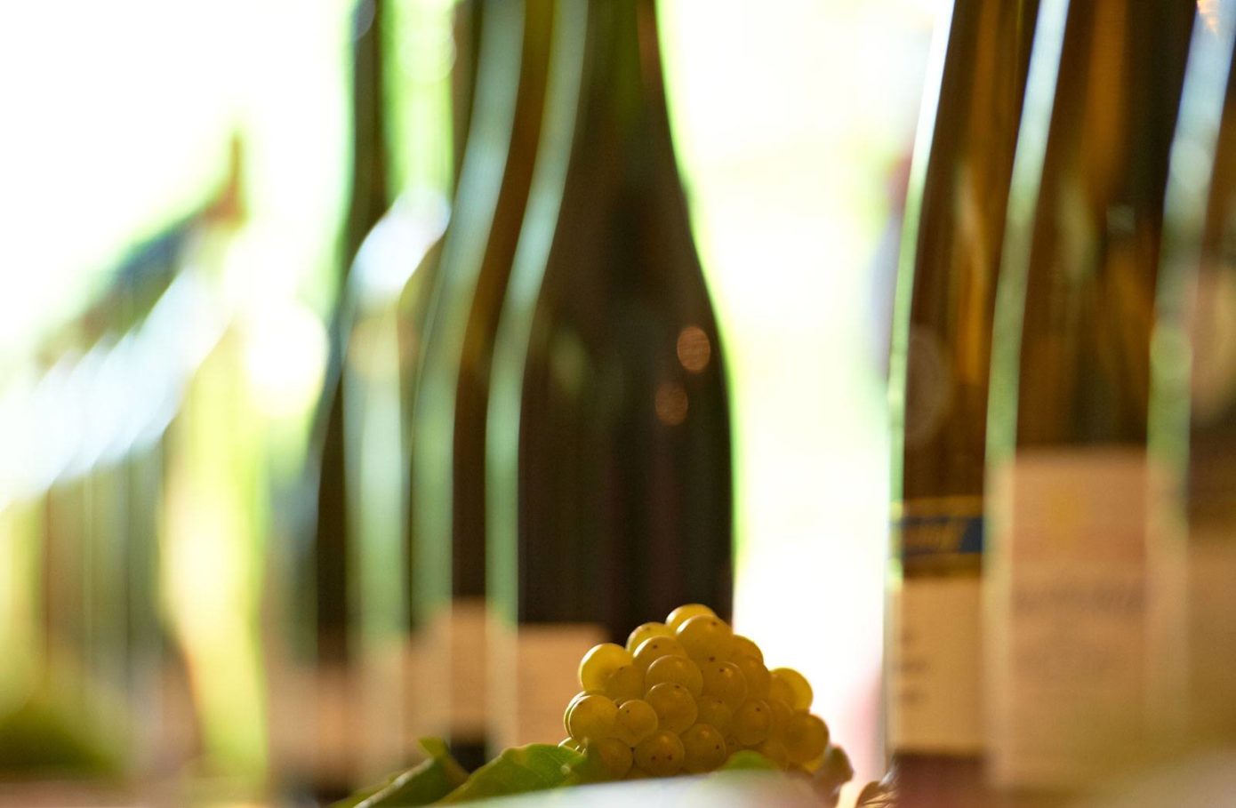 Фото 2 з Weingut Kapellenhof