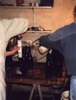 Foto 7 von Weingut Karl Faber