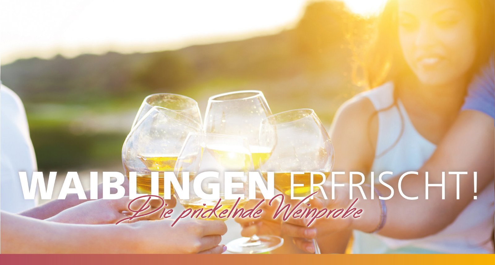 Foto 4 von Weingut Karl Haidle