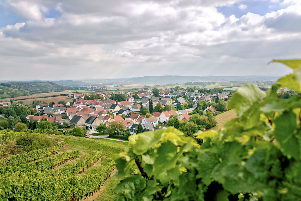 Weingut Karl-Heinz Eckes