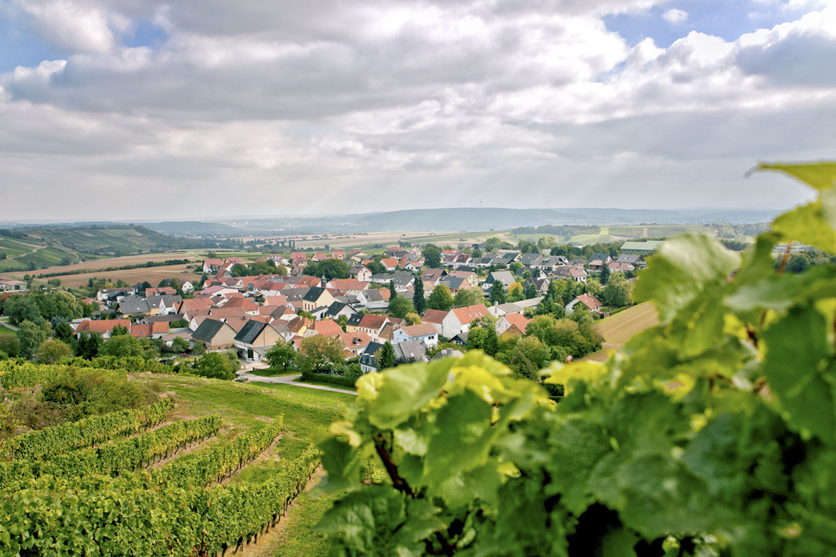 Foto 6 von Weingut Karl-Heinz Eckes