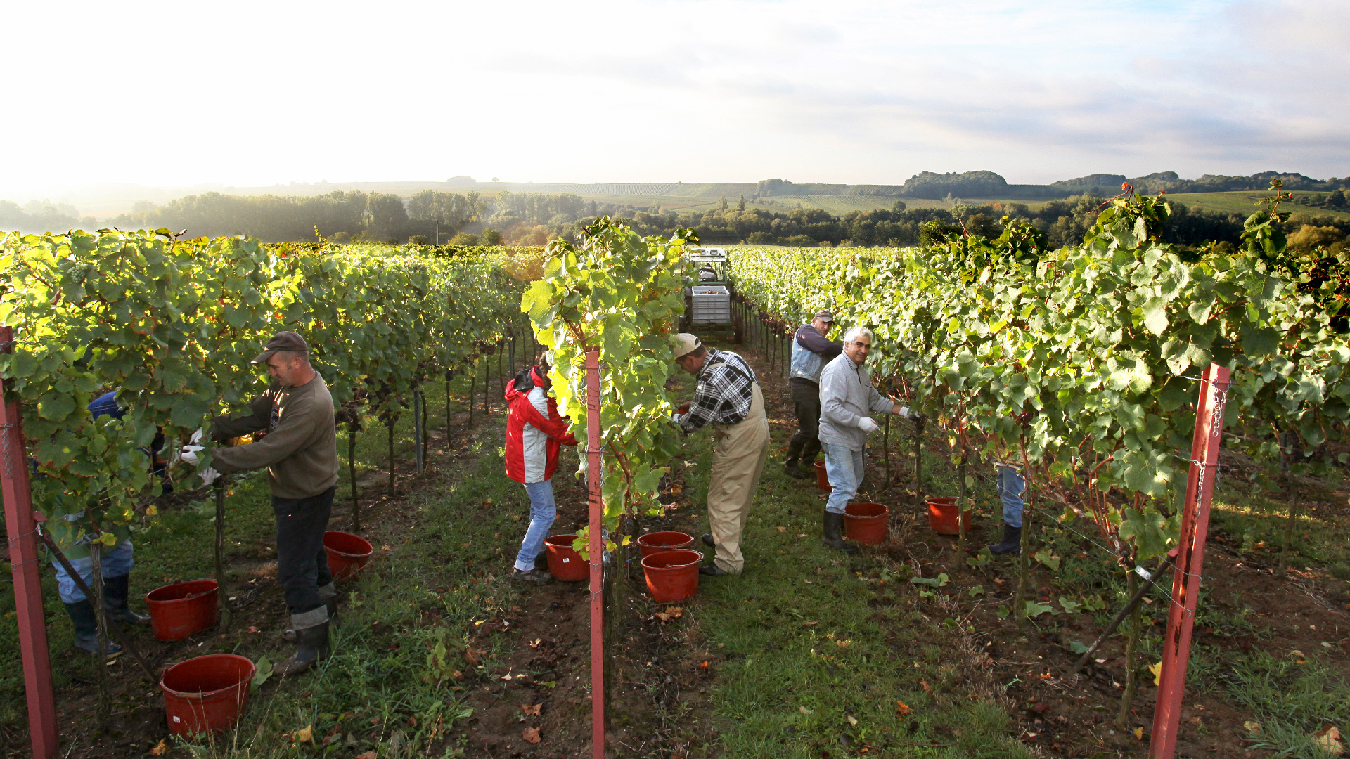 Foto 3 von Weingut Karl-Heinz und Andreas Meyer GbR