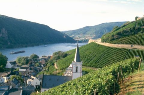 Weingut Karl Schön