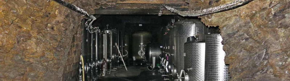 Weingut Karlsmühle