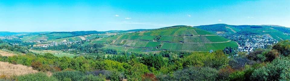 Foto 3 von Weingut Karlsmühle