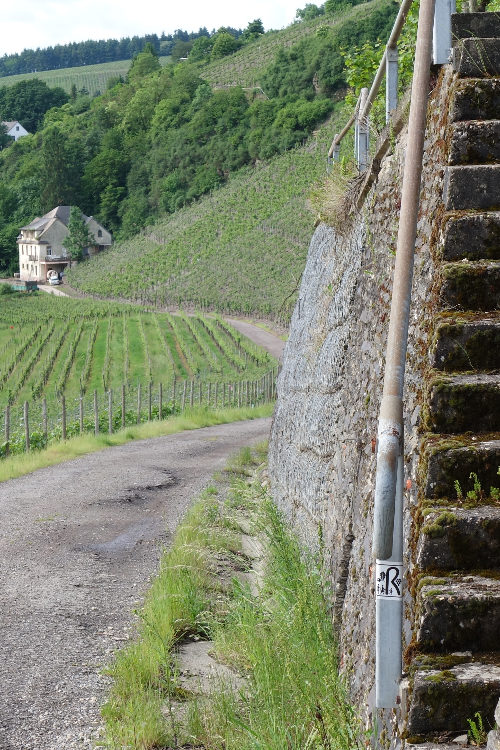 Foto 4 von Weingut Karlsmühle