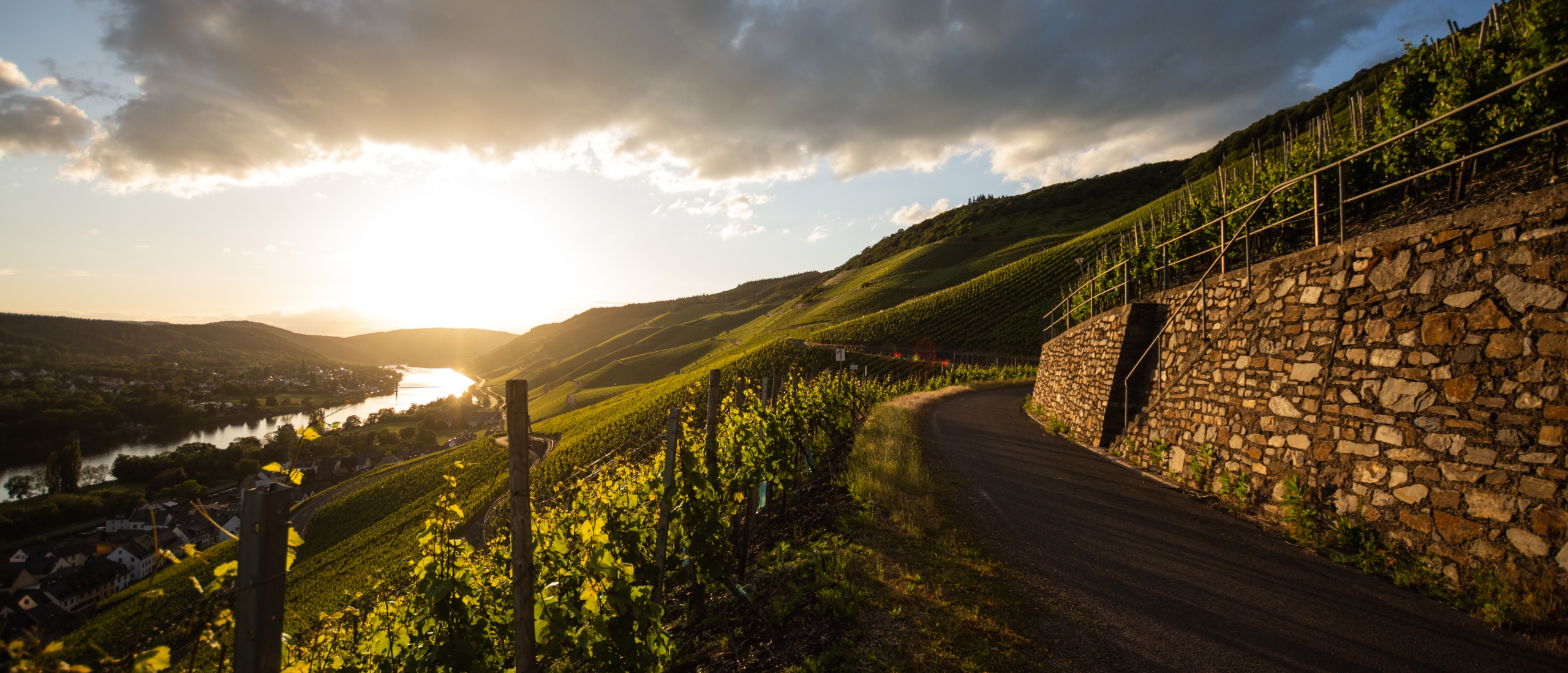 Weingut Kees -Kieren