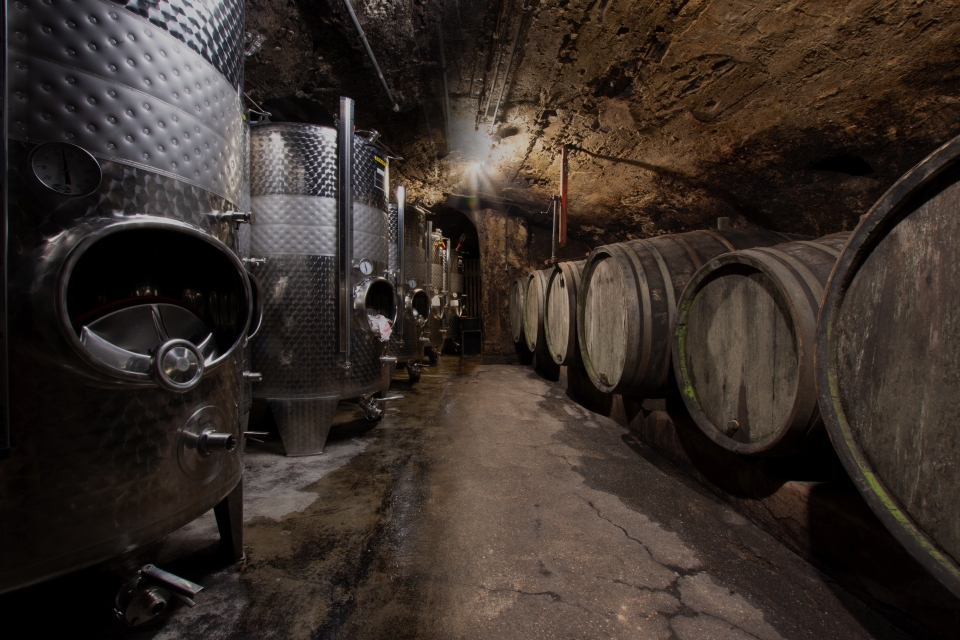 Foto 7 von Weingut Kees -Kieren