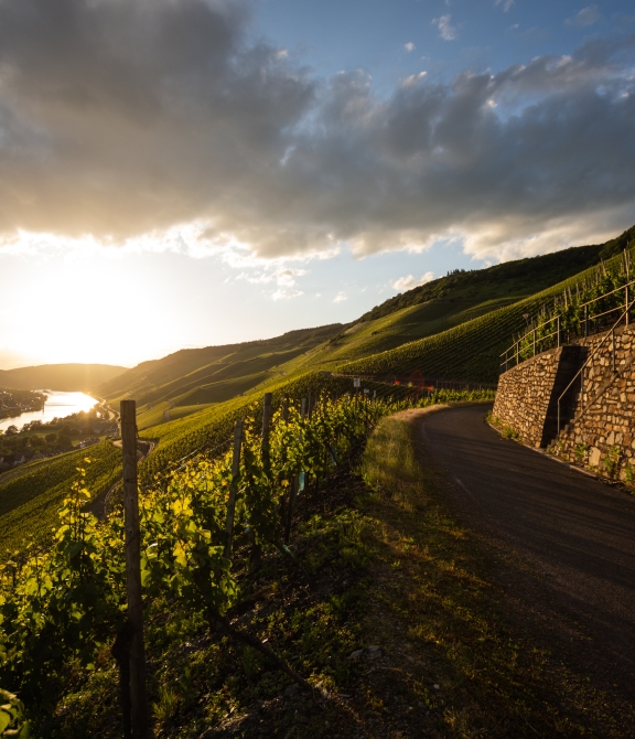 Foto 5 von Weingut Kees -Kieren
