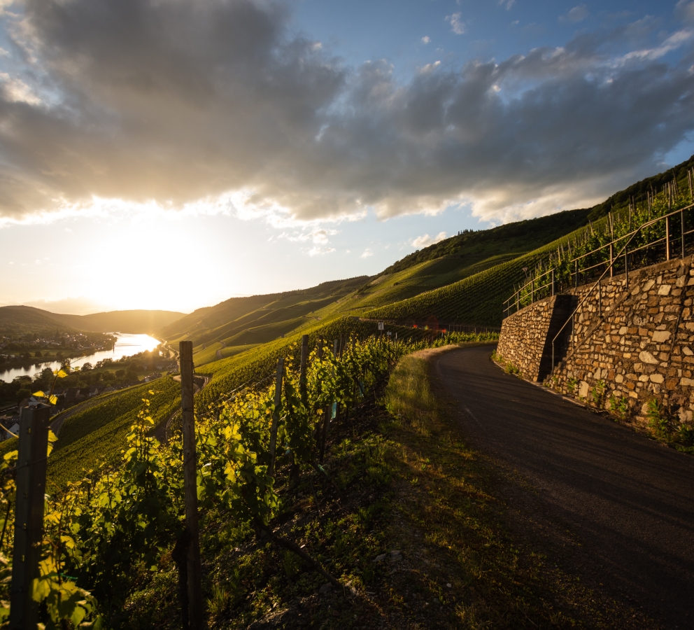 Foto 3 von Weingut Kees -Kieren
