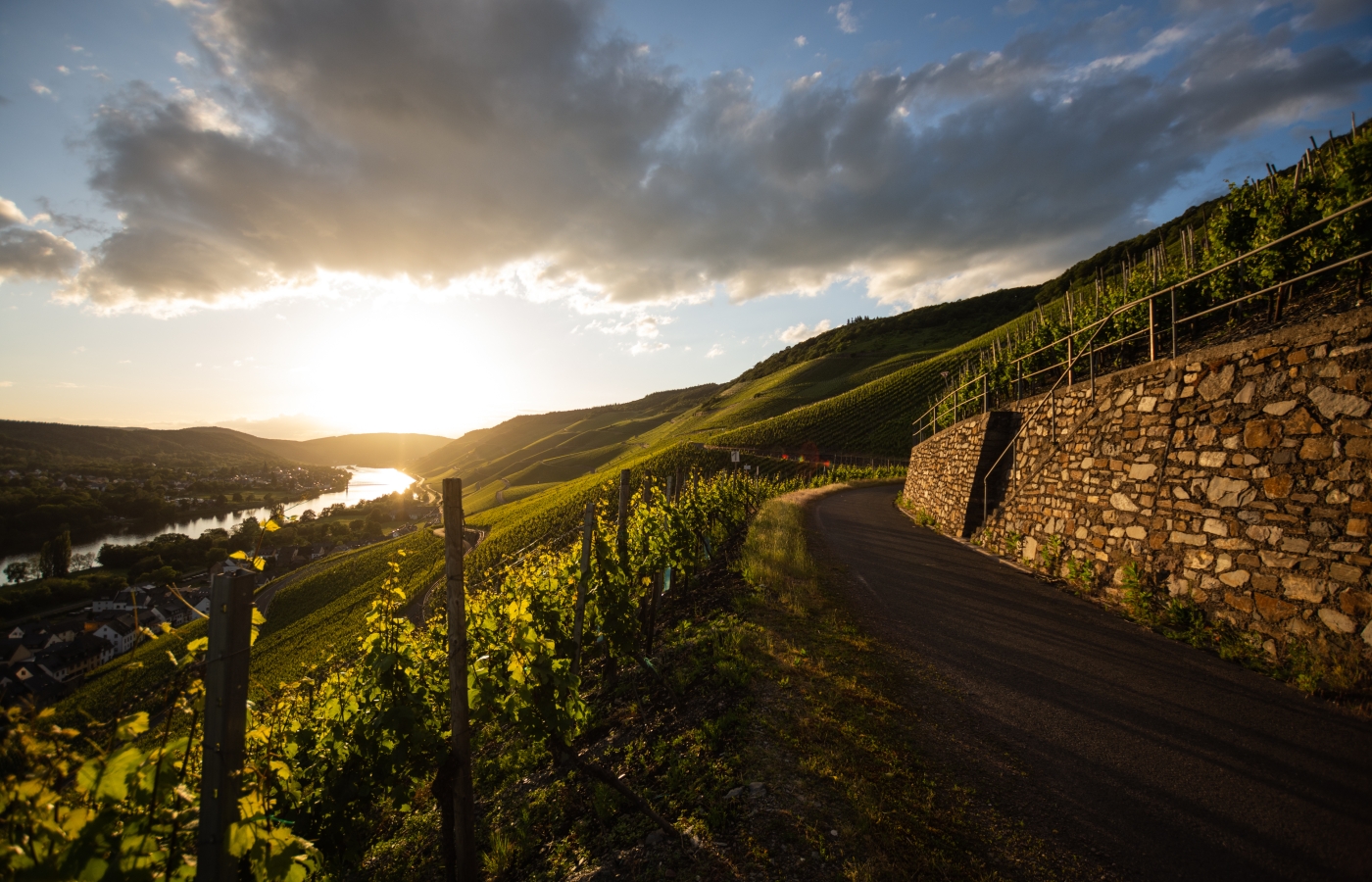 Foto 2 von Weingut Kees -Kieren