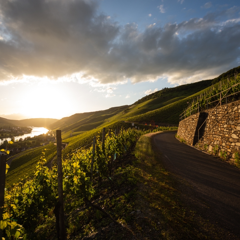Foto 4 von Weingut Kees -Kieren