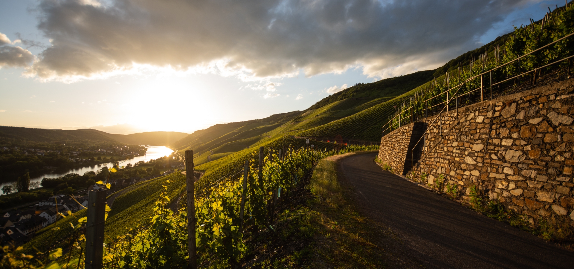 Foto 1 von Weingut Kees -Kieren