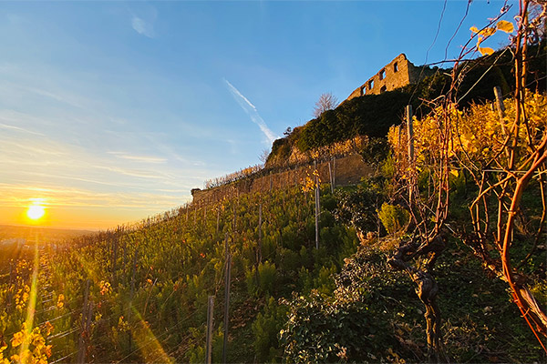 Foto 2 von Weingut Kerber