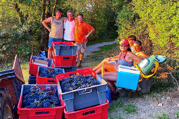 Foto 5 von Weingut Kerber