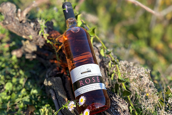 Foto 4 von Weingut Kerber
