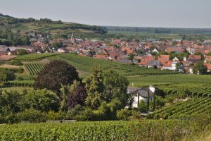 Foto 2 von Kais Winzerhof
