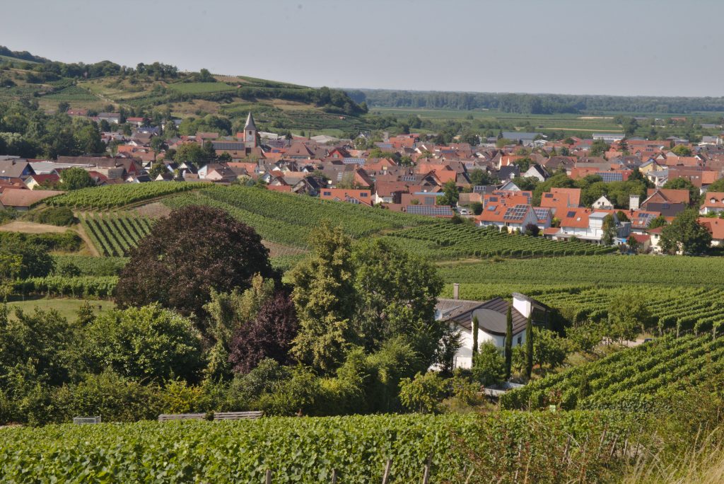 Foto 1 von Kais Winzerhof