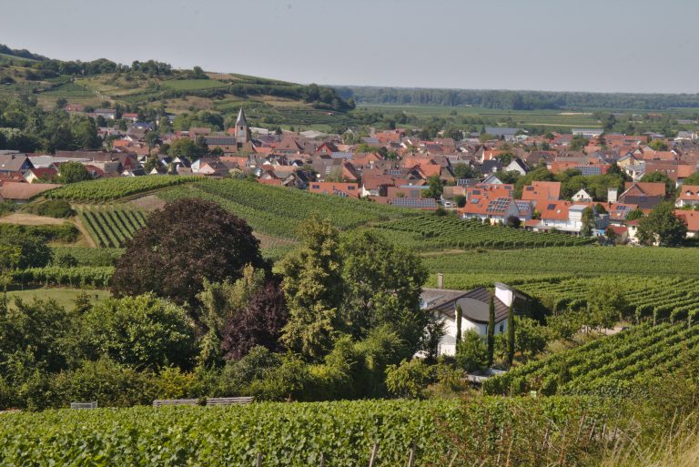 Foto 3 von Kais Winzerhof