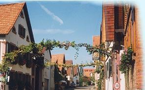 Foto 4 von Weingut Kerth-Eck