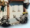 Foto 9 von Weingut Kerth-Eck