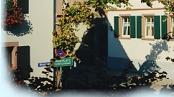 Foto 8 von Weingut Kerth-Eck