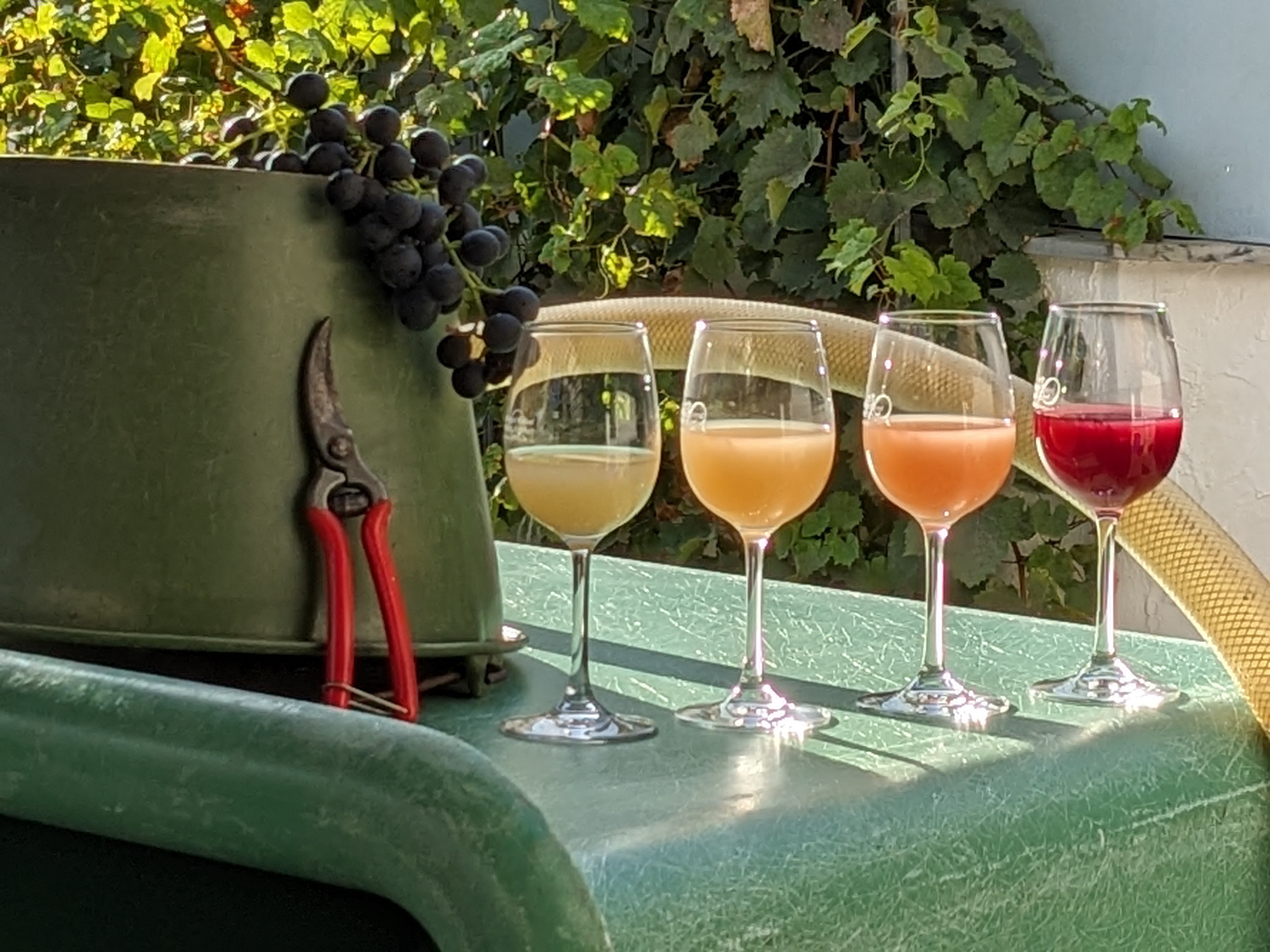 Foto 1 von Weingut Kiesel