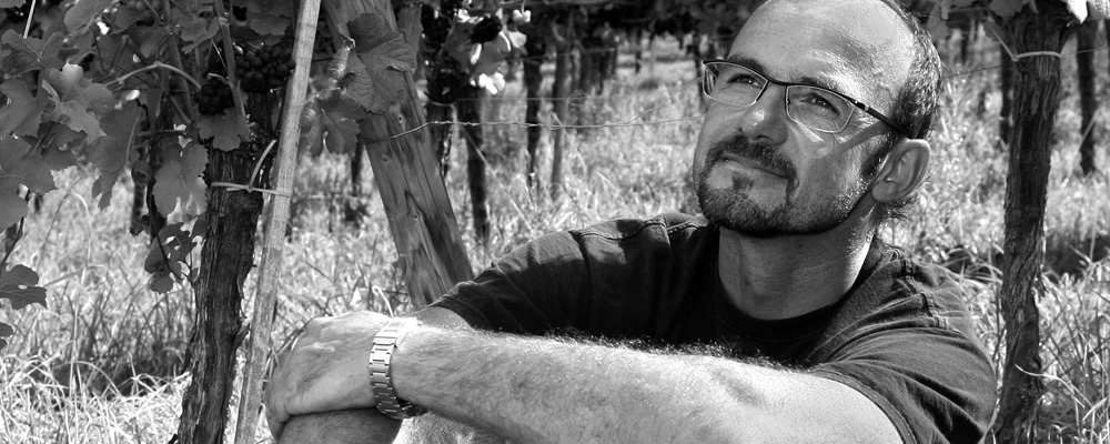 Foto 1 von Weingut Kistenmacher-Hengerer